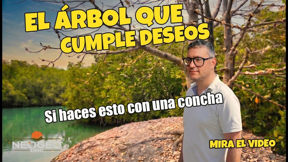 EL árbol que cumple deseos: ¿Qué pasa si dejas una concha? - team