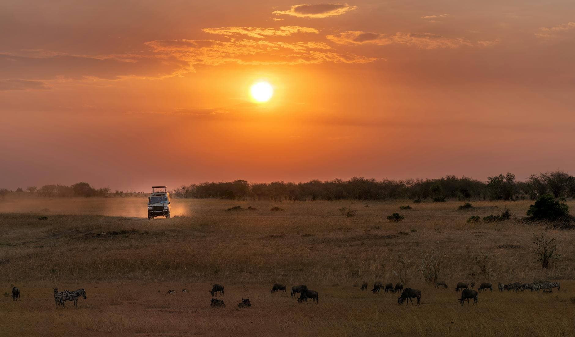 Viajeros observando fauna salvaje en un safari al atardecer en África