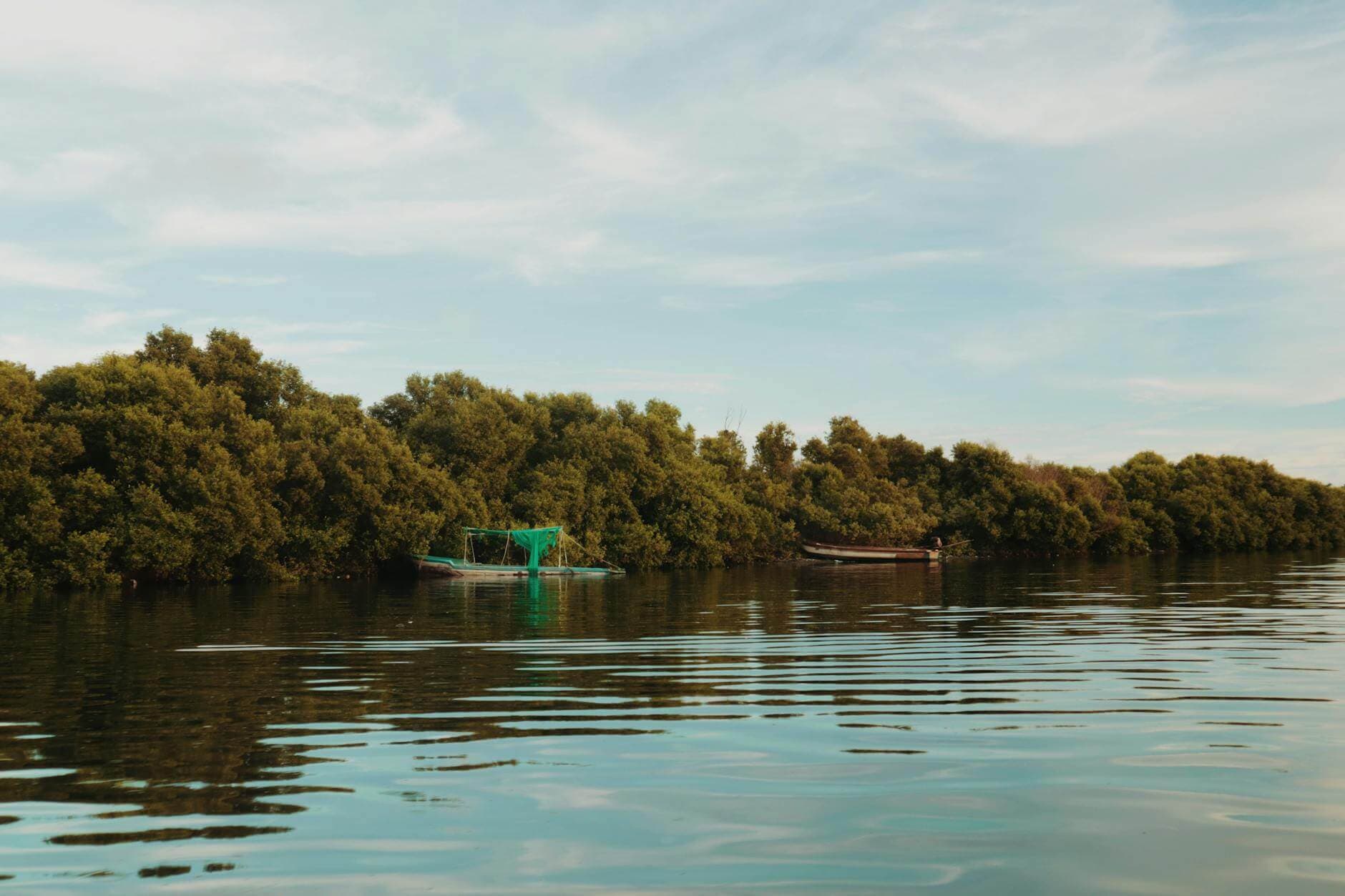Pirogue tradicional navegando por los manglares del Delta del Sine Saloum, Senegal